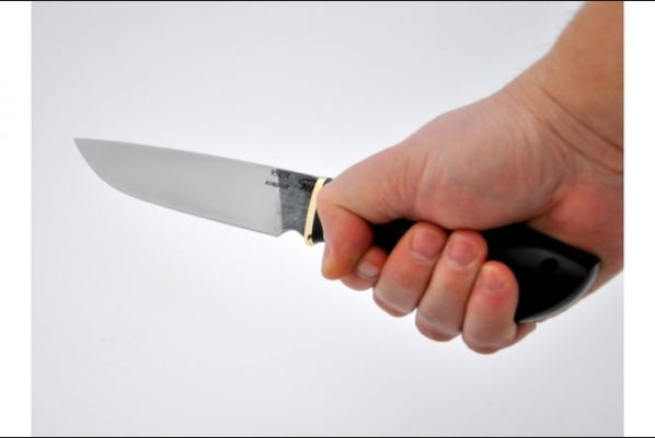 Нож Лиса <span>(95х18, чёрный граб)</span>