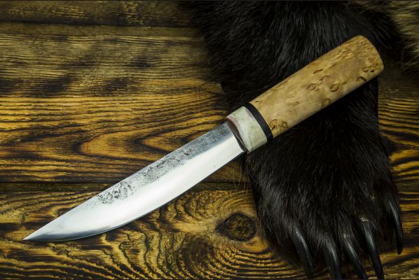 Якутский нож, большой <span>(х12мф, карельская берёза, больстер лосиный рог, кованый дол)</span>